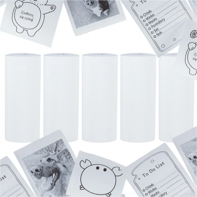 Thermopapier für Mini-Drucker 5,7 cm x 4,5 m - 5 Stk.