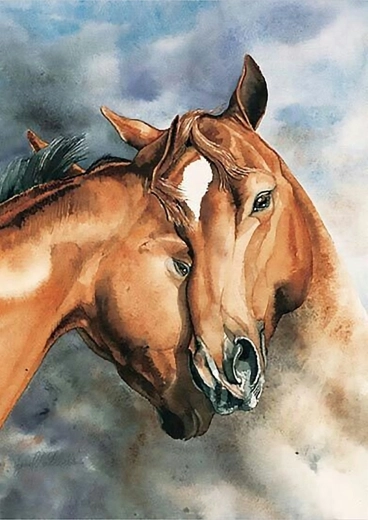 Norimpex Malen nach Zahlen Pferde 40 × 50 cm