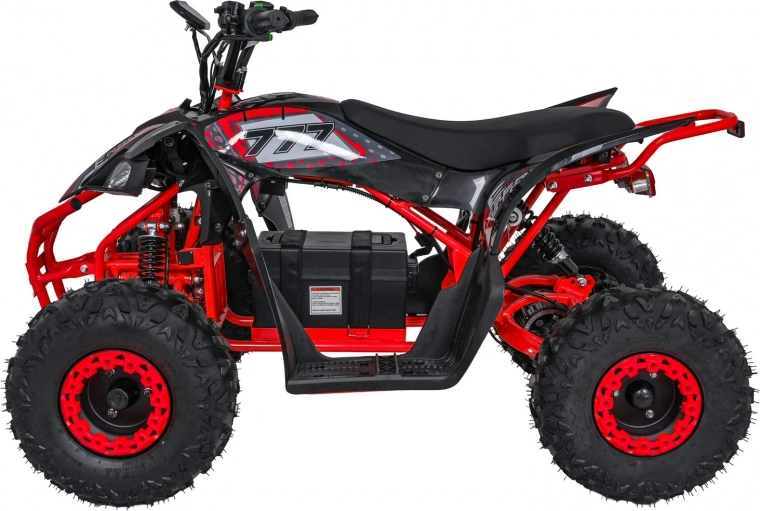 Leistungsstarker bürstenloser 800 W Motor