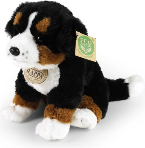 Realistische Gestaltung des Sennenhundes