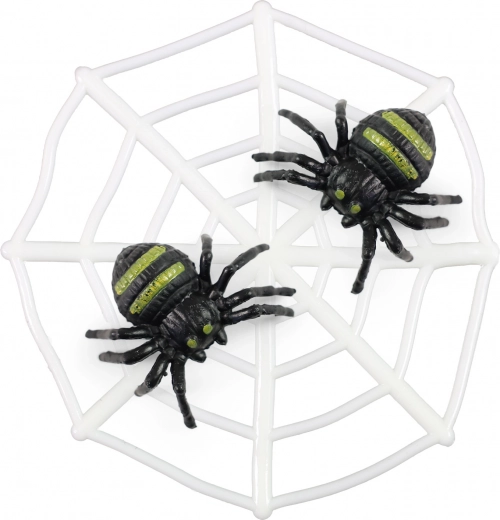 Spinnennetz mit Spinnen