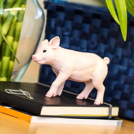 Marke Safari Ltd. – Lernen durch Spielen