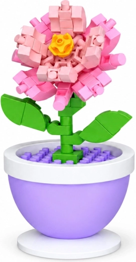 Rosa Nelke als Dekoration