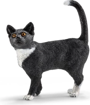 Stehende Katze