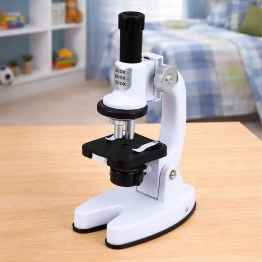 Drei Vergrößerungsstufen für jede Entdeckung