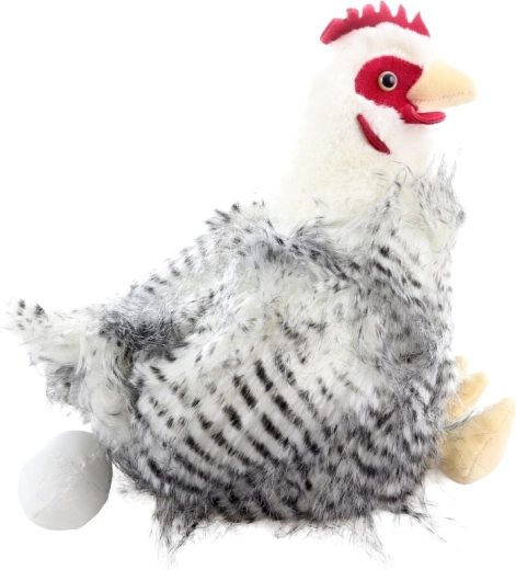 Huhn mit Ei