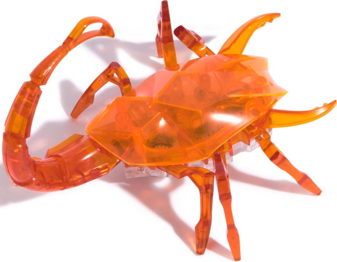 Transparentes Design und robuste Konstruktion