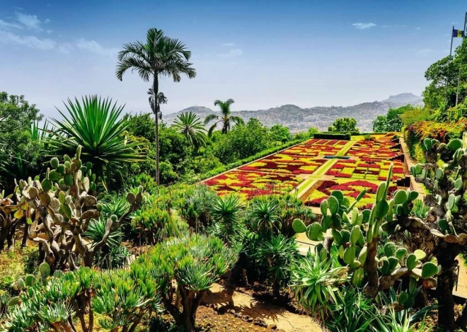 Puzzle 1000 Teile Botanischer Garten Madeira Portugal RAVENSBURGER