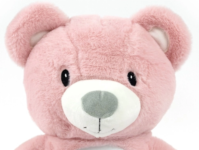 Abnehmbarer Projektor und Timer