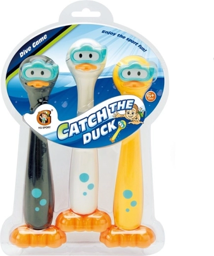 Wasserspiel Fang die Ente