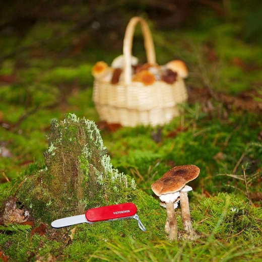 Lizenzdesign VICTORINOX