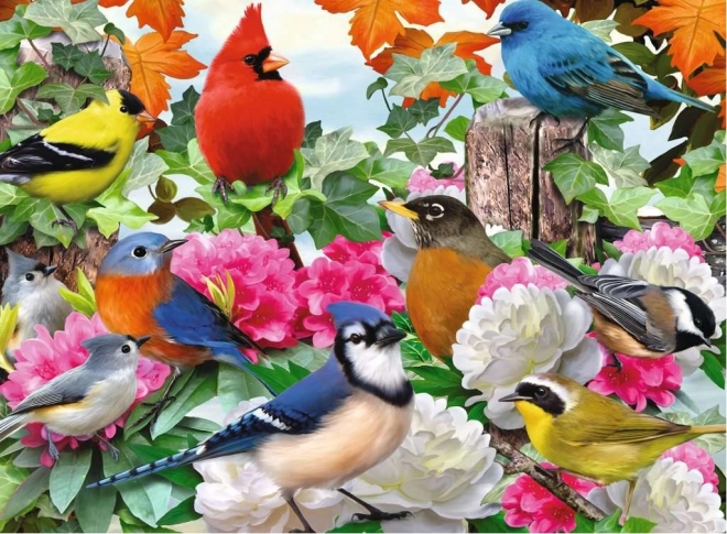 Puzzle Garten-Vögel Ravensburger 500 Teile