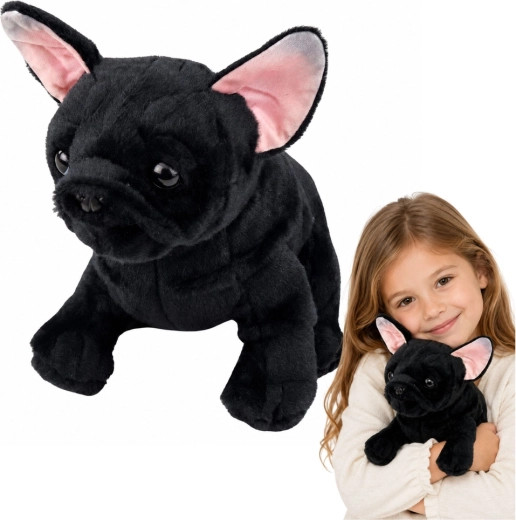 Plüsch-Französische Bulldogge, schwarz, 22 cm