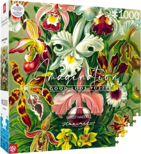 Puzzle Imagination: Ernst Haeckel – Orchidee 1000 Teile