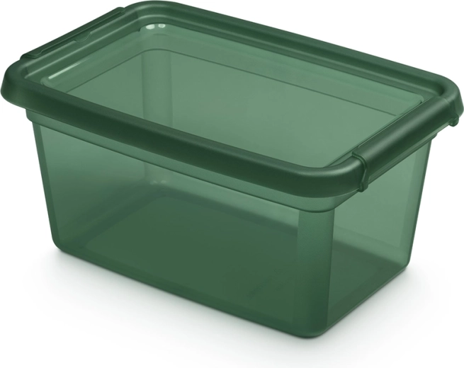 Basestore Aufbewahrungsbox mit Deckel und Clips pine 4,5 l
