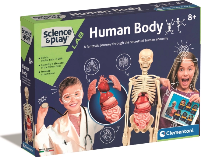 Clementoni Science&Play Labor Anatomie des menschlichen Körpers