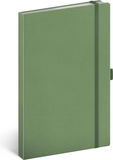 Notizbuch Notique grün liniert 13 × 21 cm