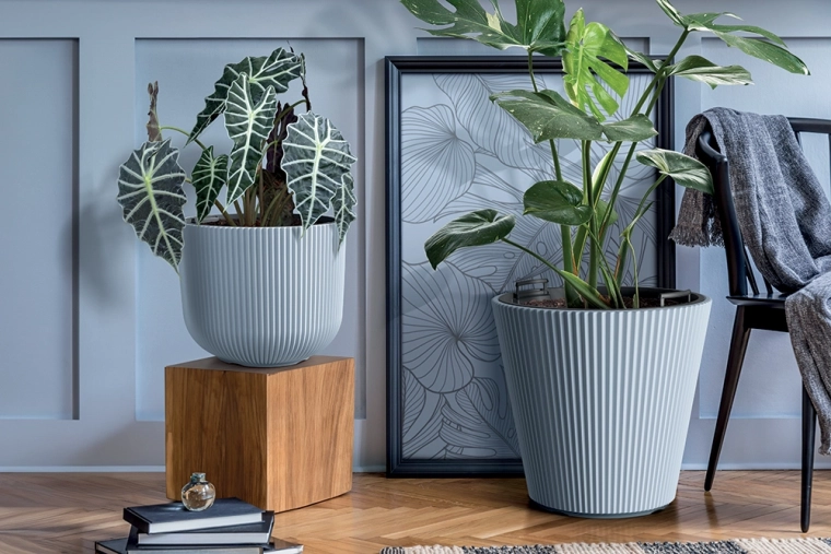 Modernes geriffeltes Design