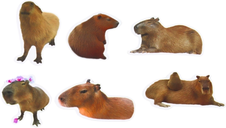 Größeres Format 6–7 cm für effektvolle Dekoration