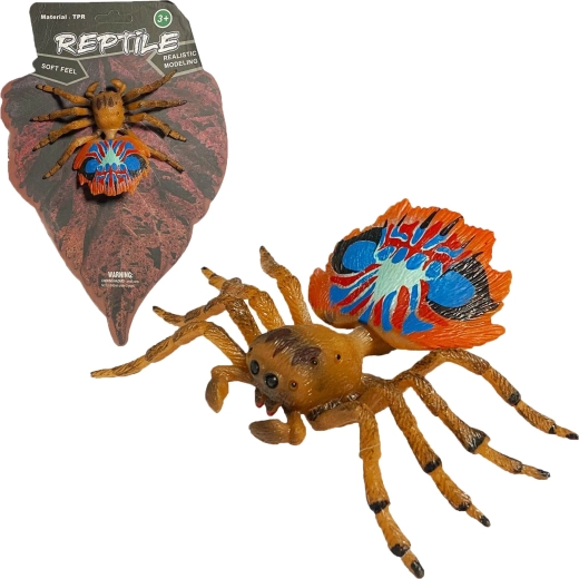 Lebendige Natur: realistisches Modell der Pfauenspinnen (Peacock Spider) 10 cm