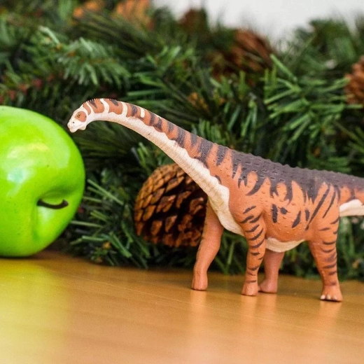 Ideal für Natur, Schule und Sammlung