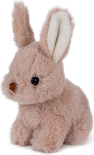 Niedlicher Hase mit Ohren