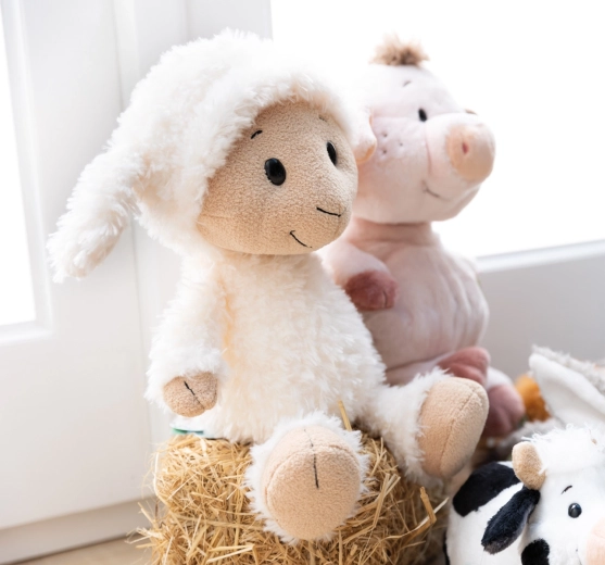 Nachhaltige NICI Green Kollektion (RPET)