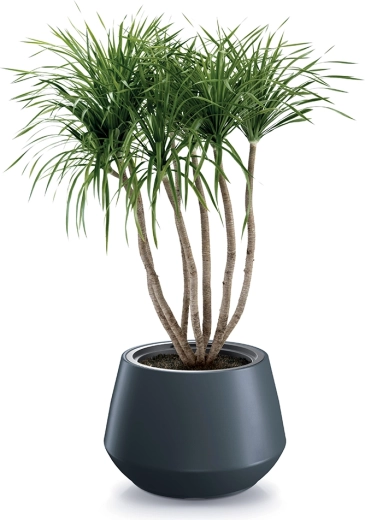 Modernes anthrazitfarbenes Design