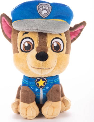 Beliebte Figur aus PAW PATROL