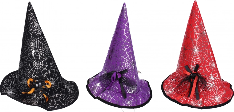 Zaubererhut mit Spinne