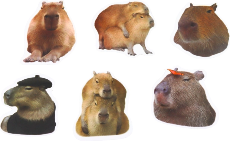 Realistische Capybara-Motive