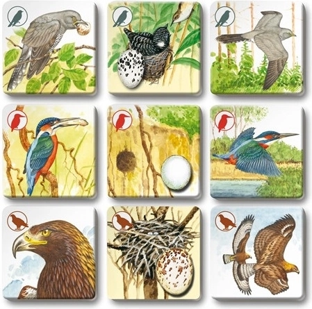 Hochwertige Illustrationen und robuste Verarbeitung