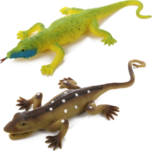 Sensorische Kügelchen im Bauchbereich