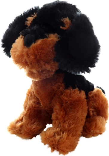 Ideale Größe 30 cm