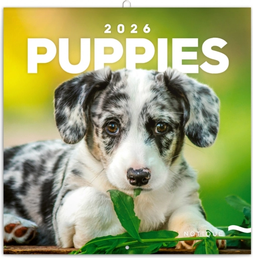 Notizkalender Welpen 2026