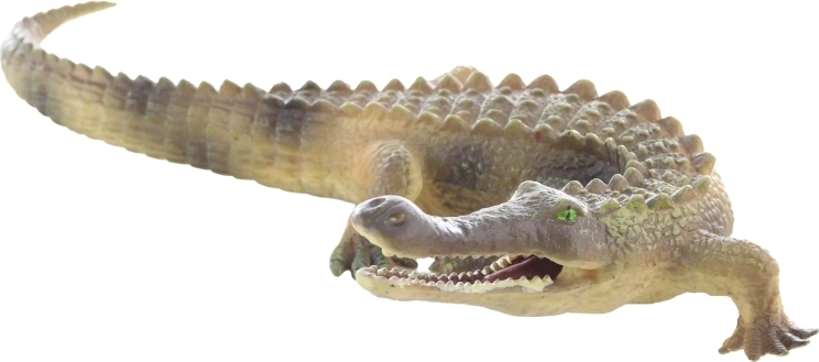 Ideale Größe für Kinderhände