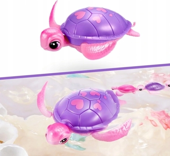 Schildkröte, die schwimmt und sich auch an Land bewegt