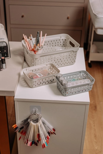 Universelle Organisation in verschiedenen Bereichen