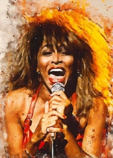 Norimpex Diamantmalerei Tina Turner singt 30 × 40 cm