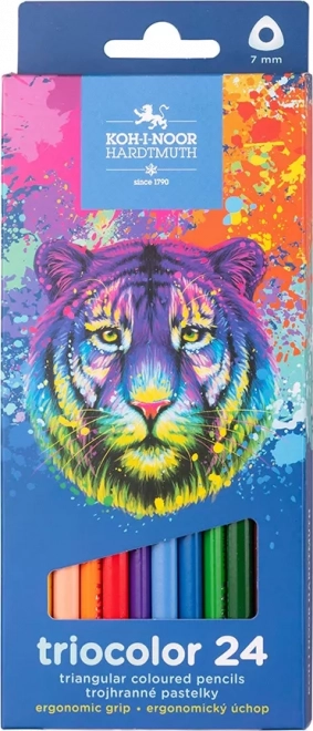 Dreieckige Buntstifte KOH-I-NOOR Triocolor 12 Stk.
