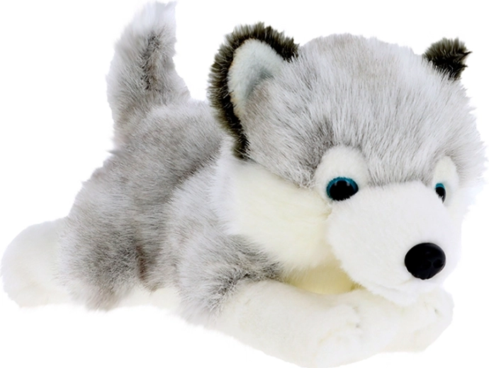 Plüsch-Husky-Welpe 30 cm KEEL TOYS Signature Forever