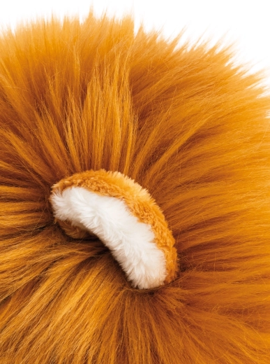 Majestätische, flauschige Mähne