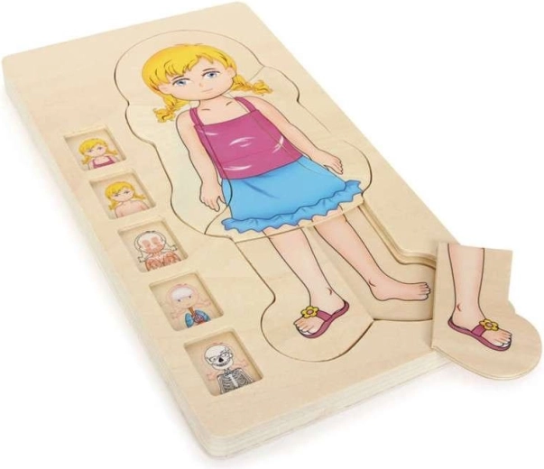 Geschichtetes Holzpuzzle Anatomie des Mädchenkörpers