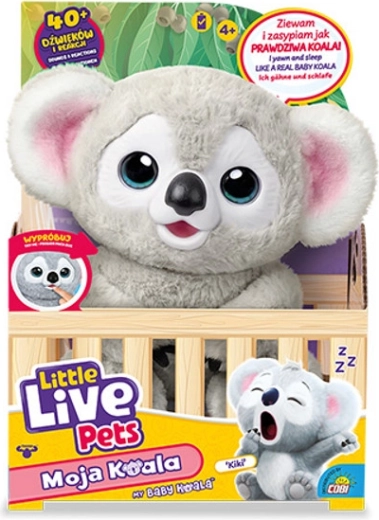 Little Live Pets mein Koala-Baby Kiki
