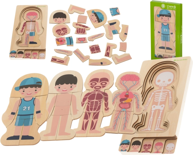 Montessori Holzpuzzle Menschlicher Körper, mehrschichtig