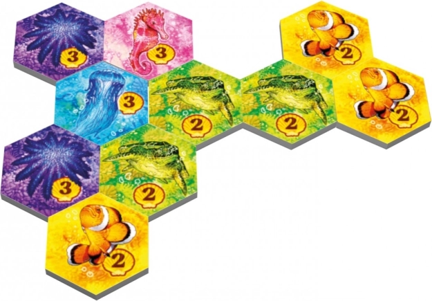 Wunderschöne Illustrationen der Meeresfauna