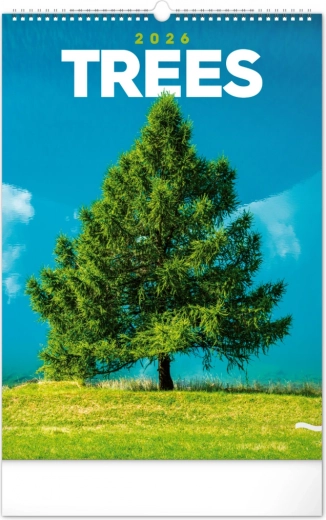 Notique Wandkalender Bäume 2026