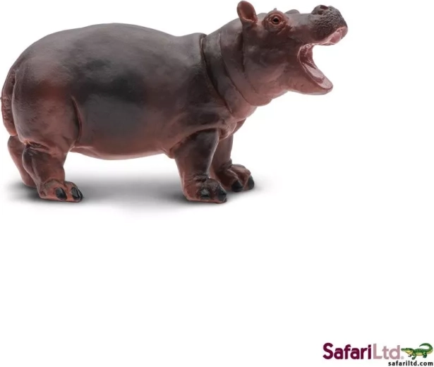 Nilpferd-Junges Safari Ltd. – 1 Stück