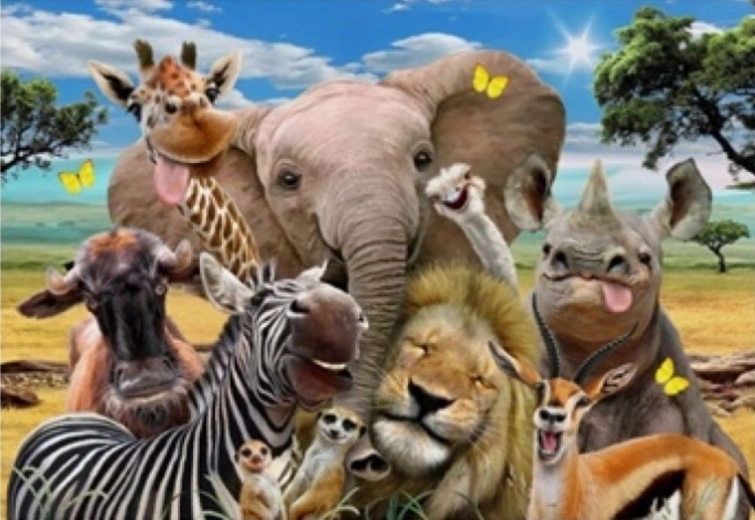 Norimpex Malen nach Zahlen Safari 40 × 50 cm