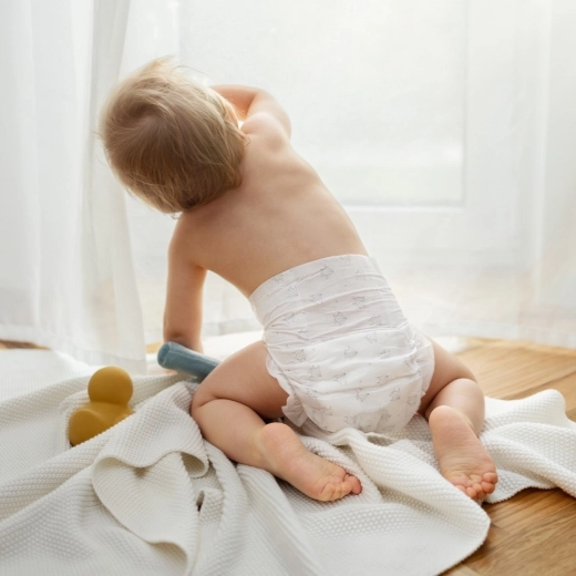 Bis zu 12 Stunden Trockenheit und Ruhe